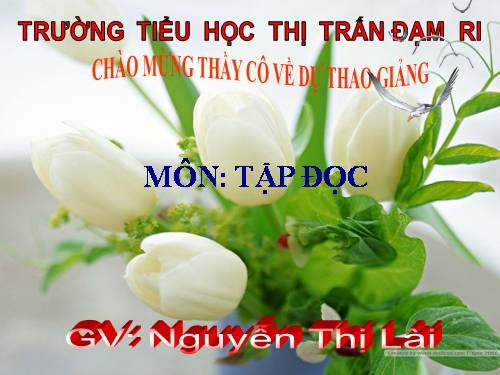 Tuần 2. Bàn tay mẹ