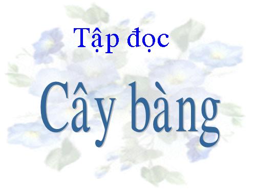 Tuần 10. Cây bàng