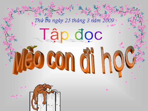 Tuần 7. Mèo con đi học