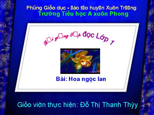 Tuần 3. Hoa ngọc lan