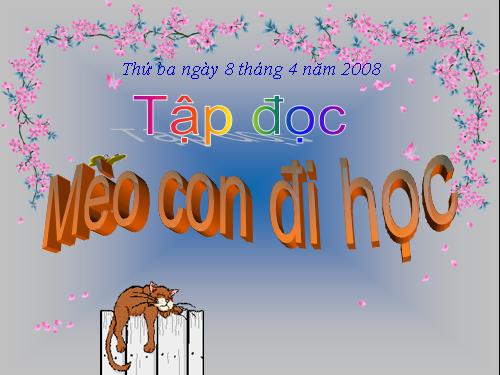 Tuần 7. Mèo con đi học