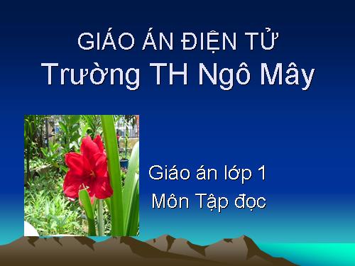 Tuần 7. Mèo con đi học