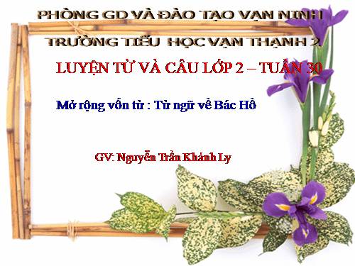 Tuần 30. MRVT: Từ ngữ về Bác Hồ