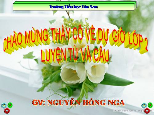 Tuần 13. MRVT: Từ ngữ về công việc gia đình. Câu kiểu Ai làm gì?