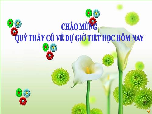 Tuần 10. MRVT: Từ ngữ về họ hàng. Dấu chấm, dấu chấm hỏi