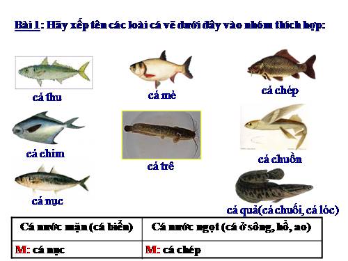 Tuần 26. MRVT: Từ ngữ về sông biển. Dấu phẩy