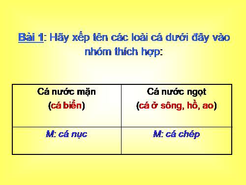 Tuần 26. MRVT: Từ ngữ về sông biển. Dấu phẩy