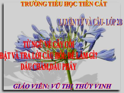 Tuần 28. MRVT: Từ ngữ về cây cối. Đặt và trả lời câu hỏi: Để làm gì? Dấu chấm, dấu phẩy