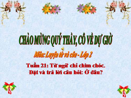 Tuần 21. MRVT: Từ ngữ về chim chóc. Đặt và trả lời câu hỏi: Ở đâu?