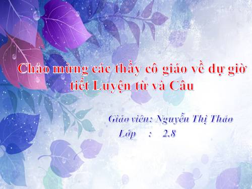 Tuần 19. MRVT: Từ ngữ về các mùa. Đặt và trả lời câu hỏi: Khi nào?