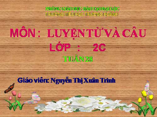 Tuần 19. MRVT: Từ ngữ về các mùa. Đặt và trả lời câu hỏi: Khi nào?