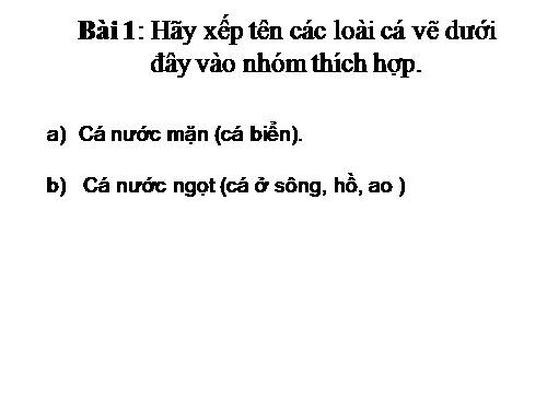 Tuần 26. MRVT: Từ ngữ về sông biển. Dấu phẩy