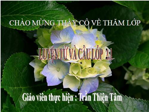 Tuần 8. Từ chỉ hoạt động, trạng thái. Dấu phẩy