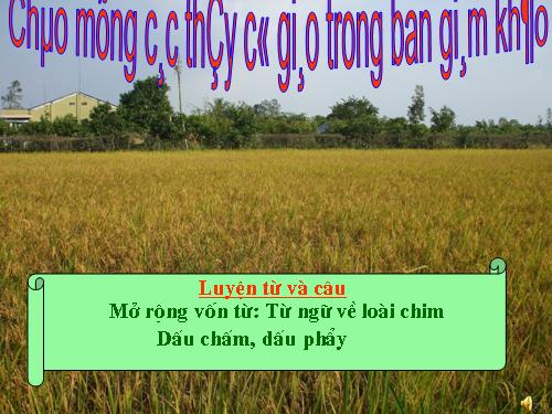 Tuần 22. MRVT: Từ ngữ về loài chim. Dấu chấm, dấu phẩy