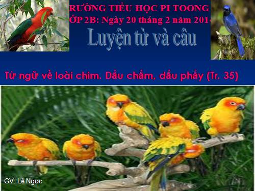 Tuần 22. MRVT: Từ ngữ về loài chim. Dấu chấm, dấu phẩy