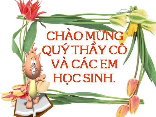 Tuần 12. MRVT: Từ ngữ về tình cảm. Dấu phẩy.