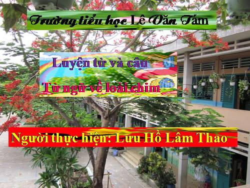 Tuần 22. MRVT: Từ ngữ về loài chim. Dấu chấm, dấu phẩy