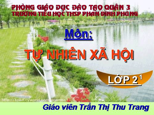 Tuần 21. MRVT: Từ ngữ về chim chóc. Đặt và trả lời câu hỏi: Ở đâu?