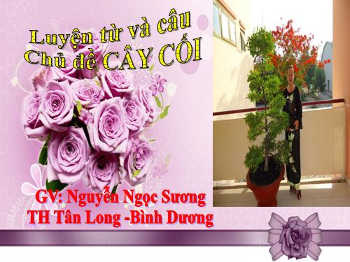 Tuần 28. MRVT: Từ ngữ về cây cối. Đặt và trả lời câu hỏi: Để làm gì? Dấu chấm, dấu phẩy