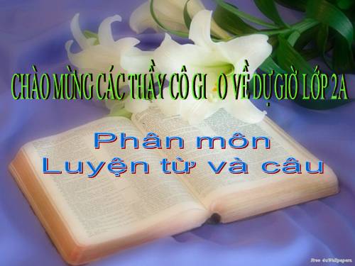 Tuần 3. Từ chỉ sự vật. Câu kiểu Ai là gì?