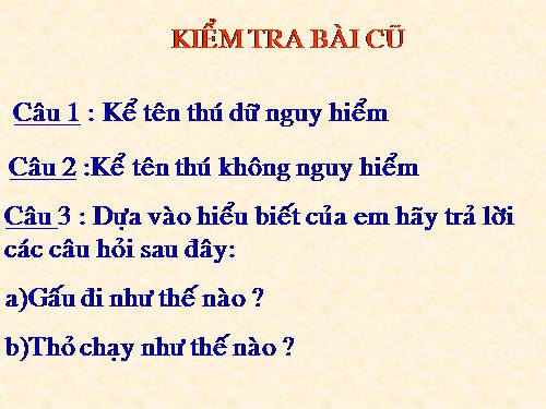 Tuần 24. MRVT: Từ ngữ về loài thú. Dấu chấm, dấu phẩy