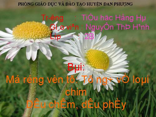 Tuần 22. MRVT: Từ ngữ về loài chim. Dấu chấm, dấu phẩy