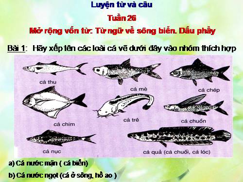 Tuần 26. MRVT: Từ ngữ về sông biển. Dấu phẩy