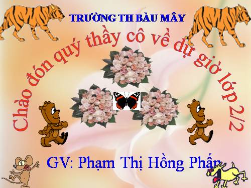 Tuần 14. MRVT: Từ ngữ về tình cảm gia đình. Câu kiểu Ai làm gì? Dấu chấm, dấu chấm hỏi