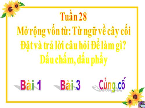 Tuần 28. MRVT: Từ ngữ về cây cối. Đặt và trả lời câu hỏi: Để làm gì? Dấu chấm, dấu phẩy