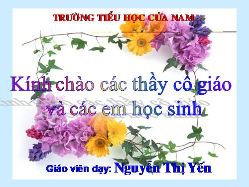 Tuần 28. MRVT: Từ ngữ về cây cối. Đặt và trả lời câu hỏi: Để làm gì? Dấu chấm, dấu phẩy