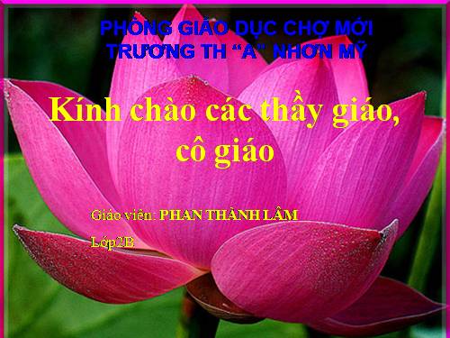 Tuần 31. MRVT: Từ ngữ về Bác Hồ. Dấu chấm, dấu phẩy