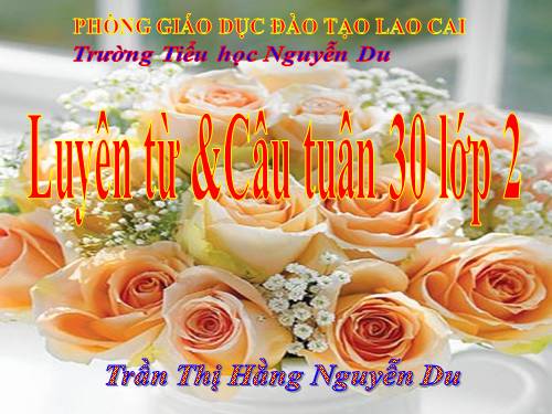 Tuần 30. MRVT: Từ ngữ về Bác Hồ