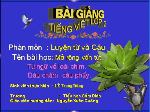 Tuần 22. MRVT: Từ ngữ về loài chim. Dấu chấm, dấu phẩy