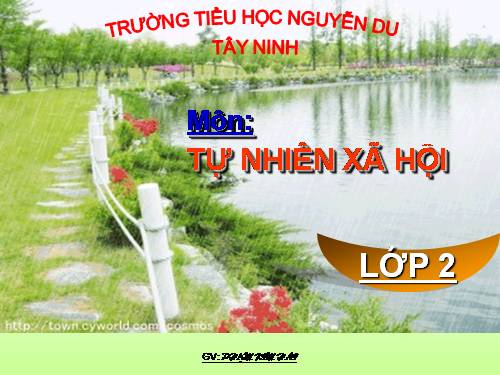 Tuần 21. MRVT: Từ ngữ về chim chóc. Đặt và trả lời câu hỏi: Ở đâu?