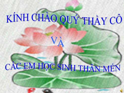 Tuần 22. MRVT: Từ ngữ về loài chim. Dấu chấm, dấu phẩy