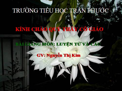 Tuần 3. Từ chỉ sự vật. Câu kiểu Ai là gì?