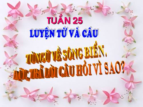 Tuần 25. MRVT: Từ ngữ về sông biển. Đặt và trả lời câu hỏi: Vì sao?