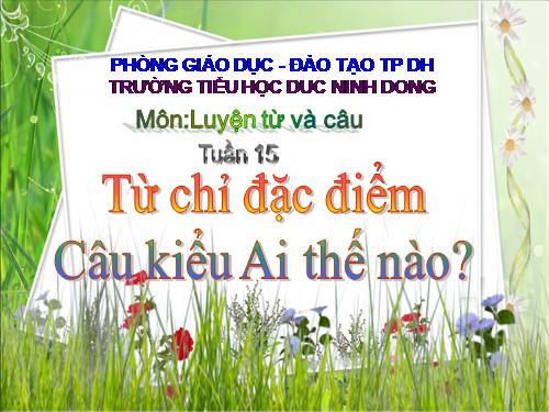 Tuần 15. Từ chỉ đặc điểm. Câu kiểu Ai thế nào?