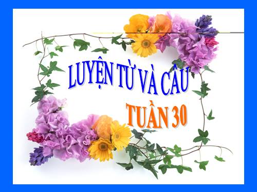 Tuần 30. MRVT: Từ ngữ về Bác Hồ