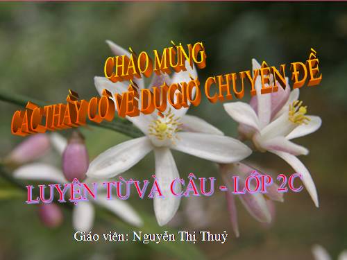 Tuần 8. Từ chỉ hoạt động, trạng thái. Dấu phẩy