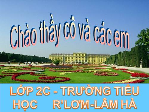 Tuần 29. MRVT: Từ ngữ về cây cối. Đặt và trả lời câu hỏi: Để làm gì?