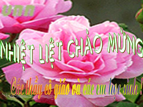 Tuần 22. MRVT: Từ ngữ về loài chim. Dấu chấm, dấu phẩy