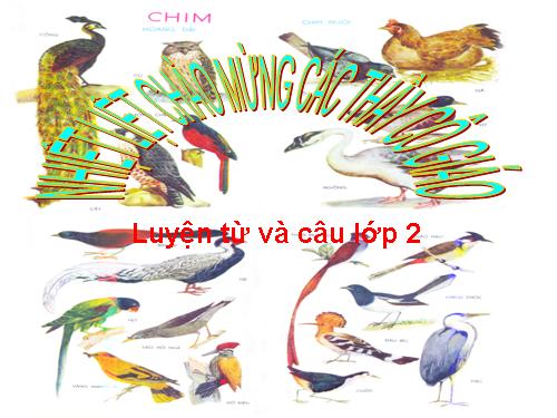 Tuần 21. MRVT: Từ ngữ về chim chóc. Đặt và trả lời câu hỏi: Ở đâu?