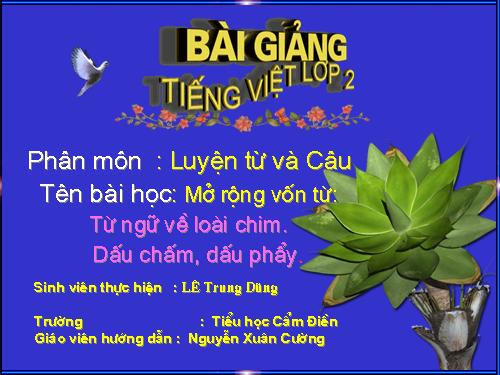 Tuần 22. MRVT: Từ ngữ về loài chim. Dấu chấm, dấu phẩy