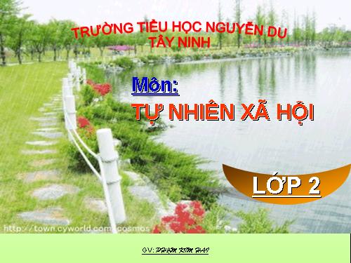 Tuần 21. MRVT: Từ ngữ về chim chóc. Đặt và trả lời câu hỏi: Ở đâu?