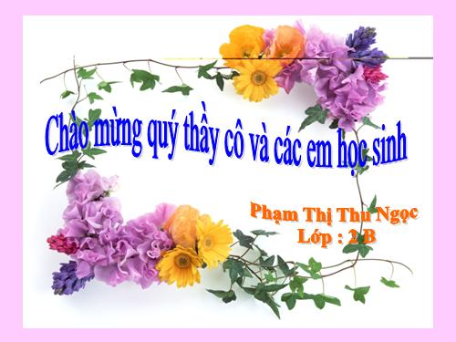 Tuần 19. MRVT: Từ ngữ về các mùa. Đặt và trả lời câu hỏi: Khi nào?