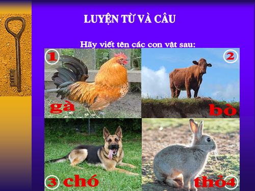 Tuần 17. MRVT: Từ ngữ về vật nuôi. Câu kiểu Ai thế nào?