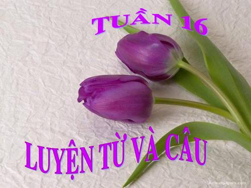 Tuần 16. Từ chỉ tính chất. Câu kiểu Ai thế nào? MRVT: Từ ngữ về vật nuôi