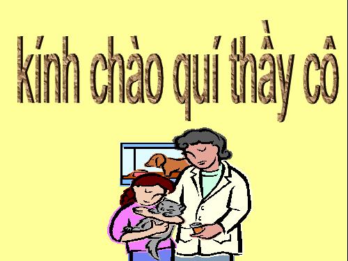 Tuần 24. MRVT: Từ ngữ về loài thú. Dấu chấm, dấu phẩy