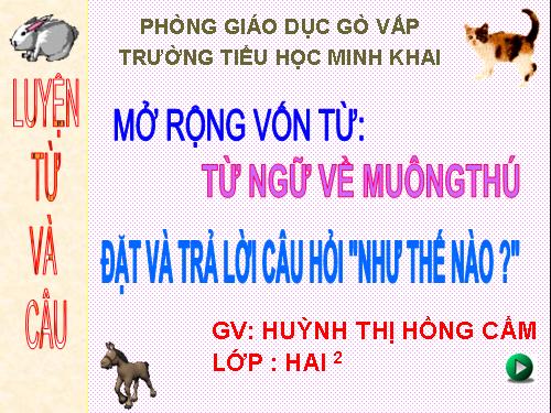 Tuần 23. MRVT: Từ ngữ về muông thú. Đặt và trả lời câu hỏi: Như thế nào?